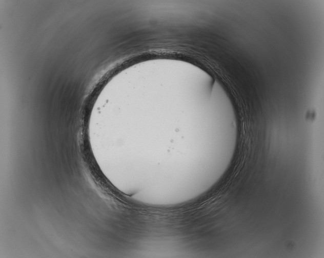 X0000111140728200907211138