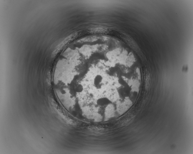 X0000111140729200907211138