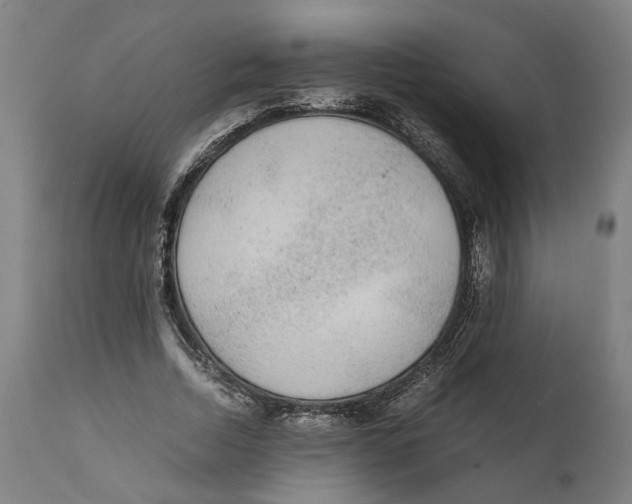 X0000111140730200907211138