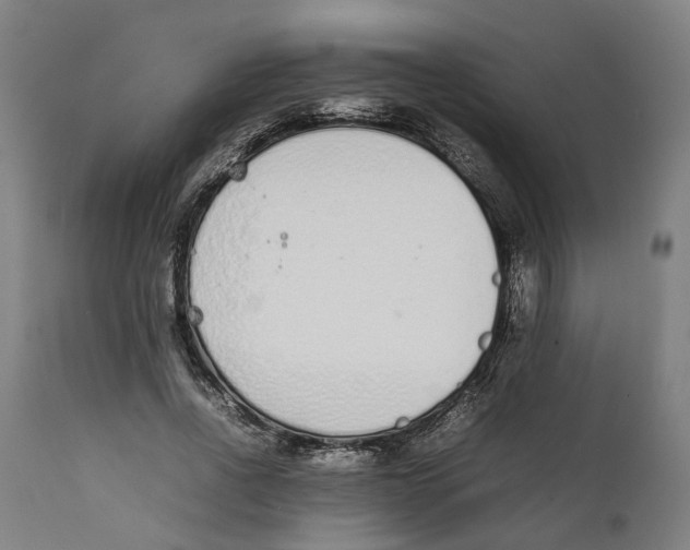 X0000111140734200907211138