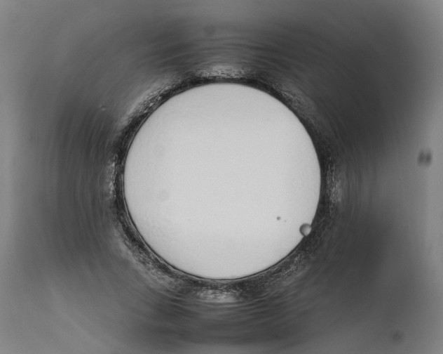 X0000111140735200907211138