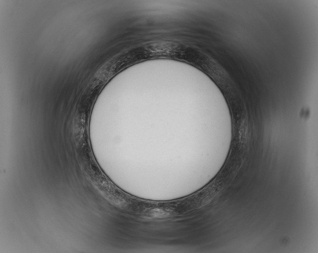 X0000111140737200907211138