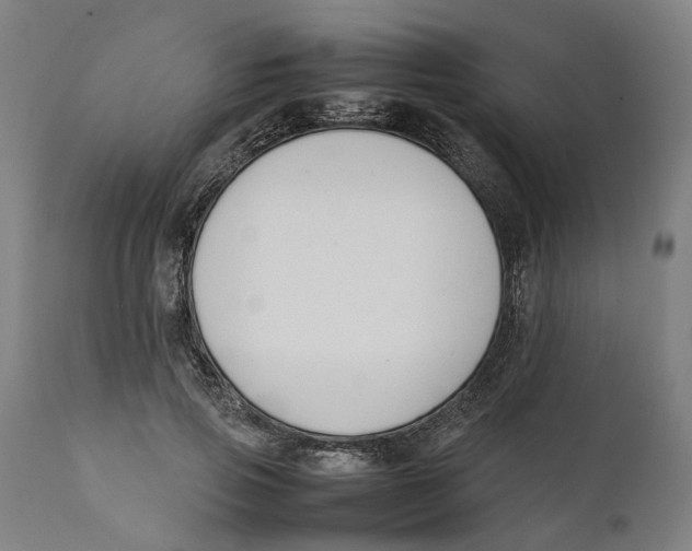 X0000111140741200907211138