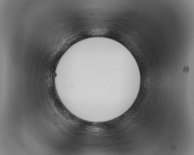 X0000111140743200907211138