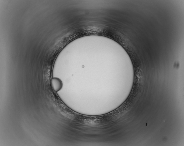 X0000111140745200907211138