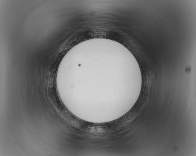 X0000111140751200907211138