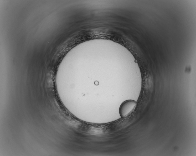 X0000111140757200907211139