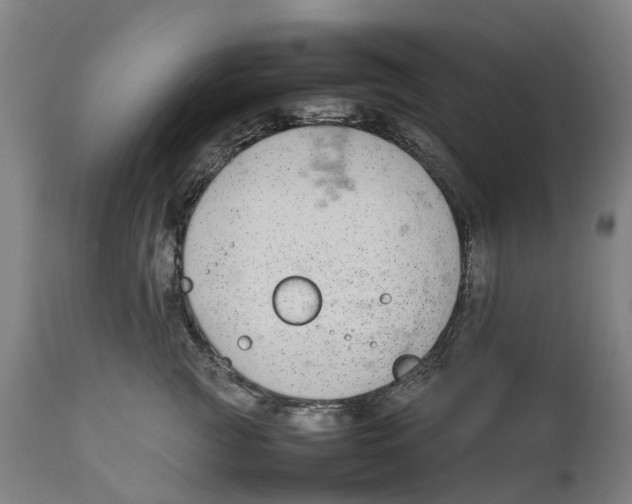 X0000111140761200907211139