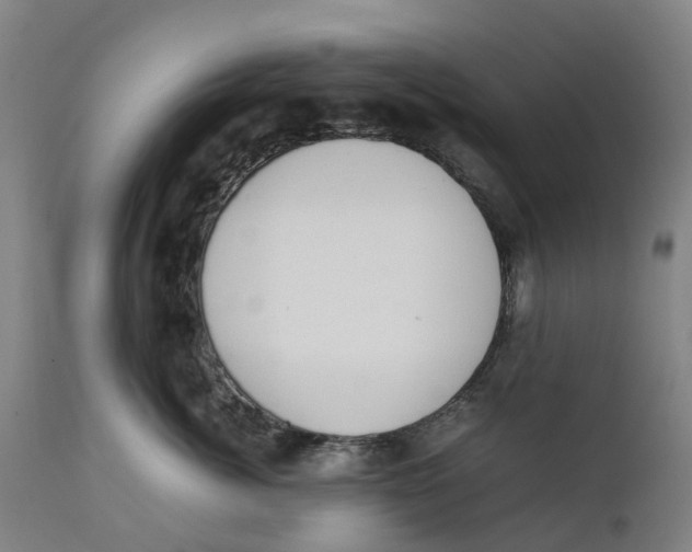 X0000111140764200907211139