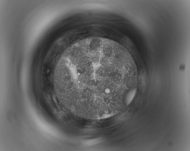 X0000111140765200907211139