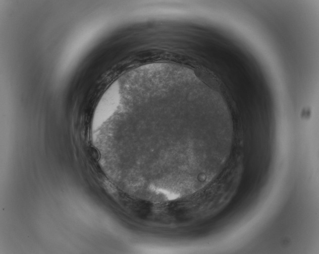 X0000111140766200907211139