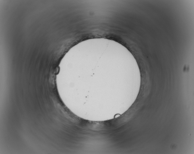 X0000111140768200907211139