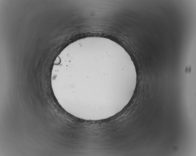 X0000111140769200907211138