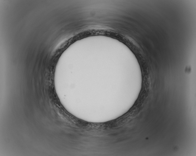 X0000111140775200907211138