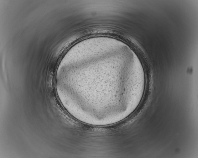 X0000111140777200907211138