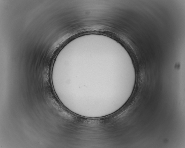 X0000111140778200907211138