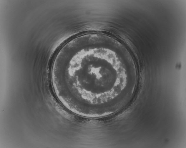 X0000111140779200907211138