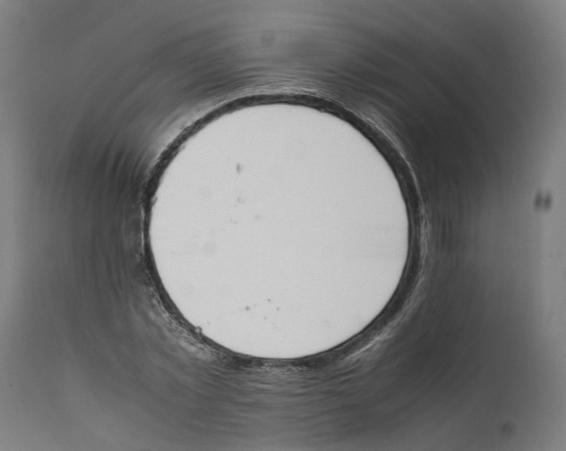 X0000111140781200907211138