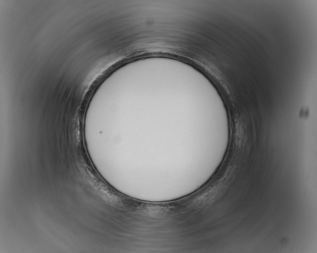 X0000111140782200907211138