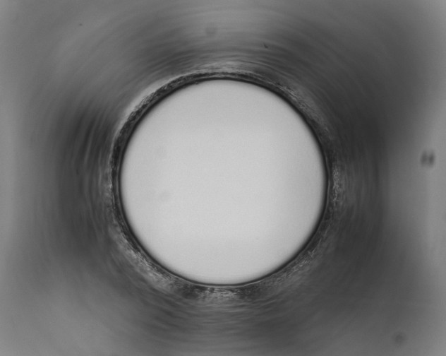 X0000111140784200907211138