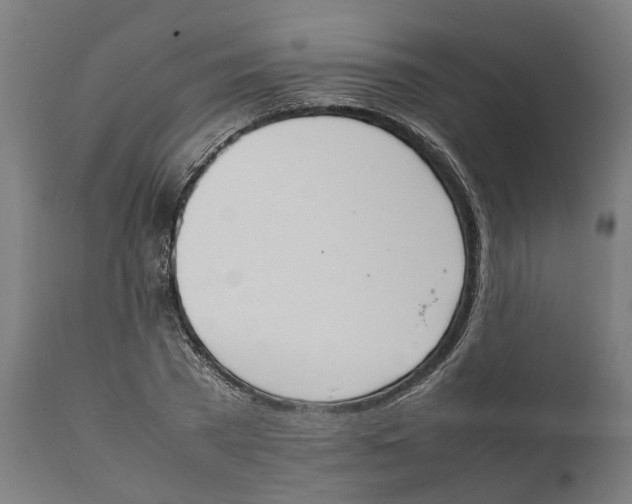 X0000111140785200907211138