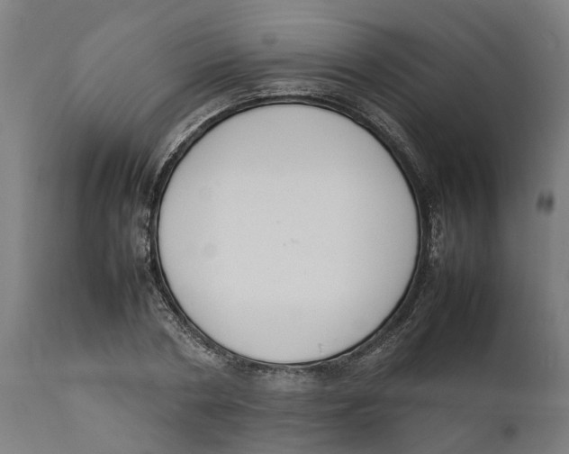 X0000111140786200907211138