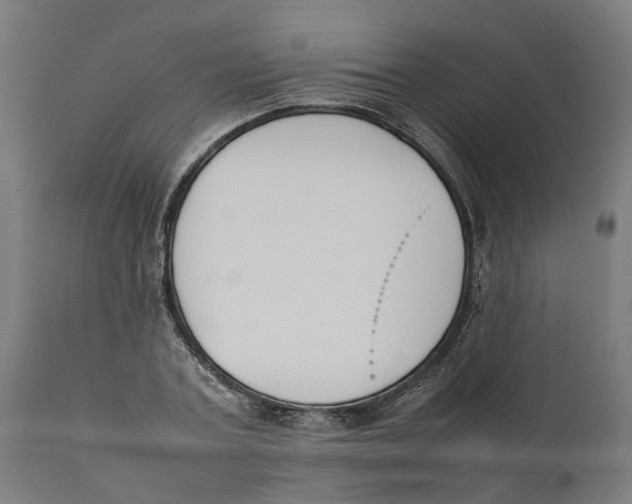 X0000111140787200907211138