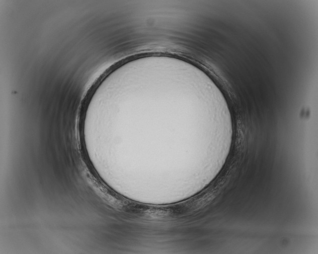 X0000111140788200907211138