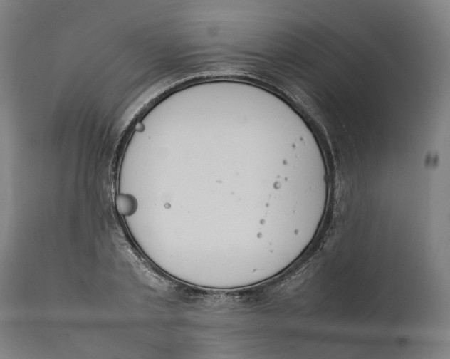 X0000111140789200907211138