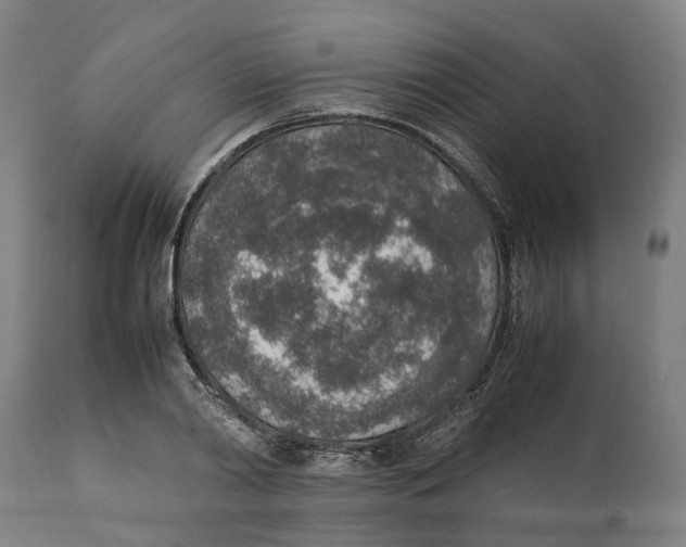 X0000111140790200907211138