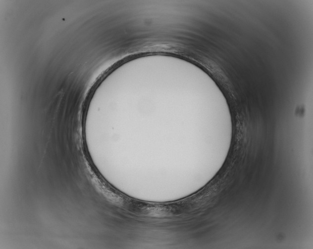 X0000111140792200907211138