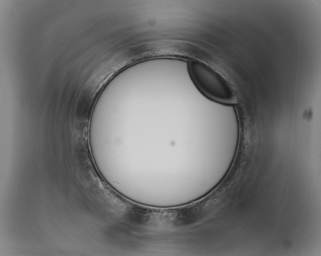 X0000111140793200907211138