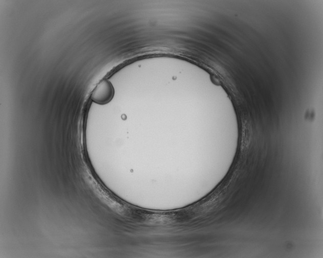 X0000111140796200907211137