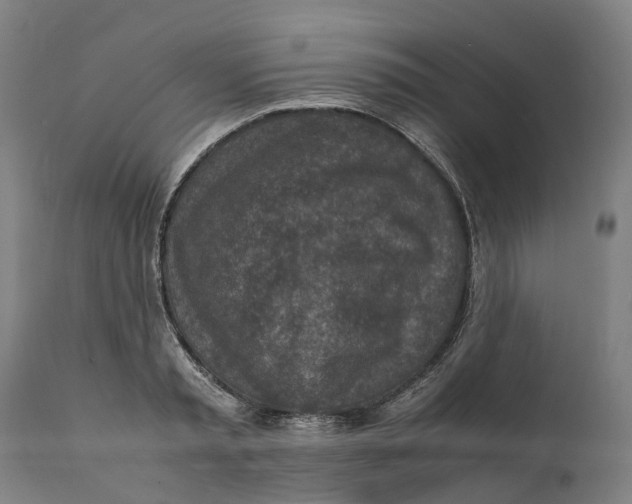 X0000111140797200907211137