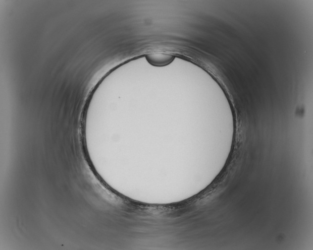 X0000111140803200907211137