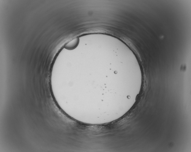 X0000111140805200907211137