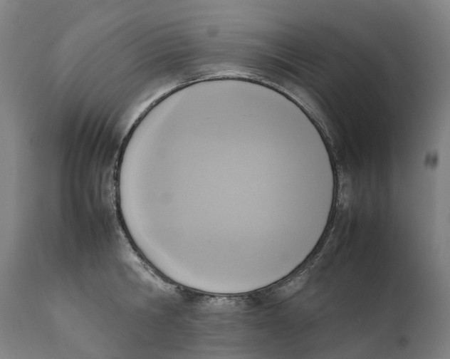 X0000111140806200907211137