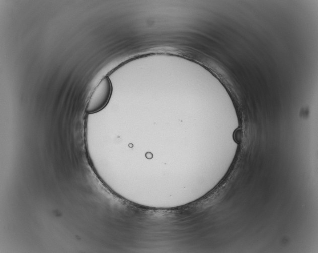 X0000111140808200907211137