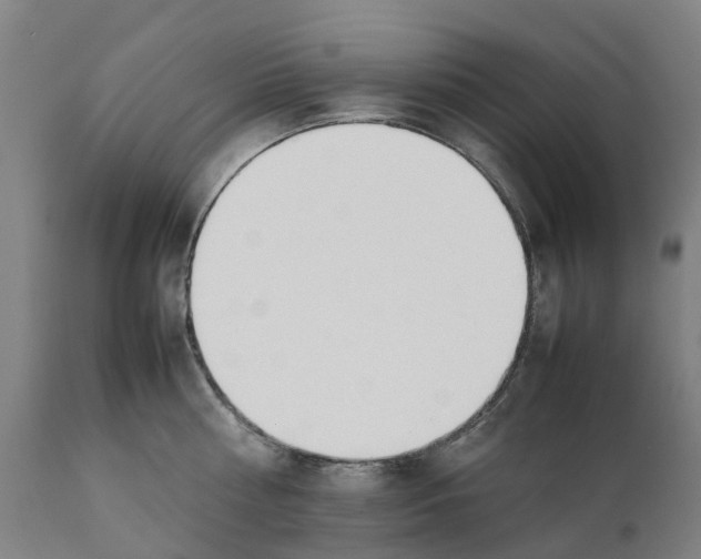 X0000111140810200907211137