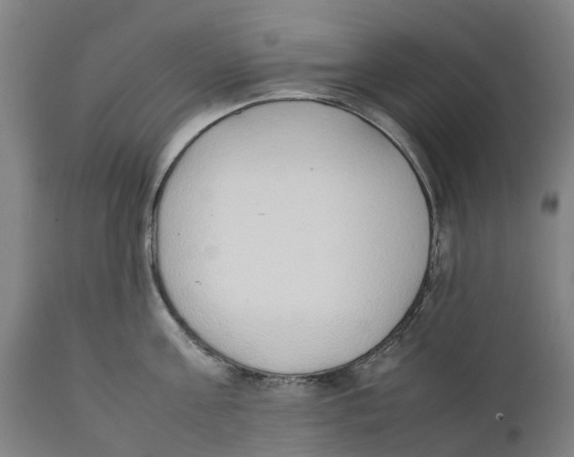 X0000111140811200907211137