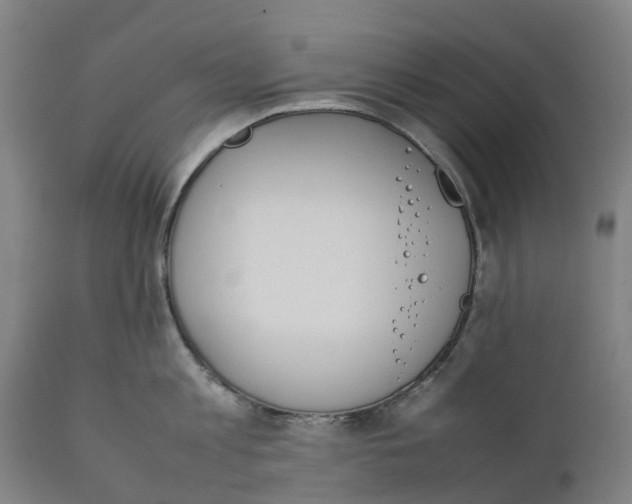 X0000111140813200907211137