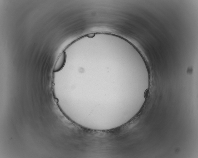 X0000111140815200907211137