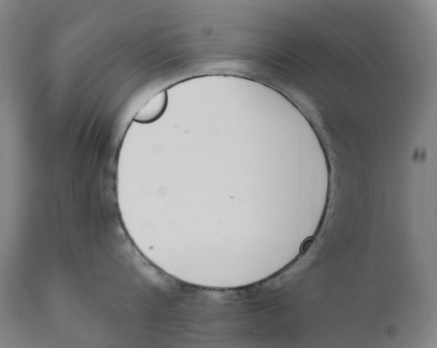 X0000111140816200907211137