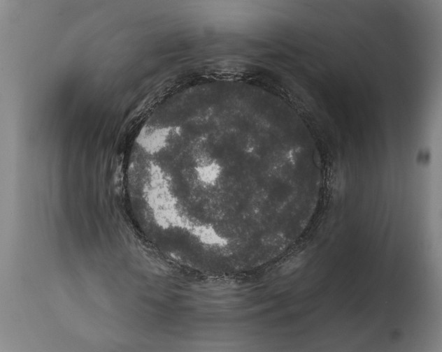 X0000111140818200907211136