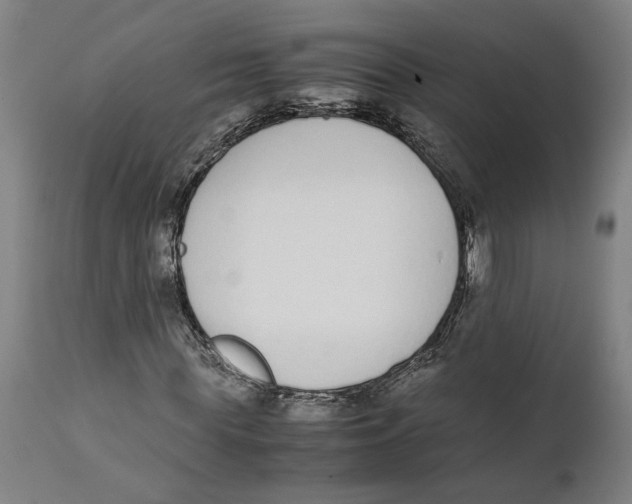 X0000111140819200907211136