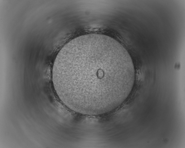 X0000111140820200907211136