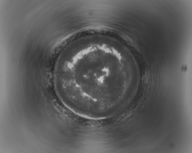 X0000111140822200907211136