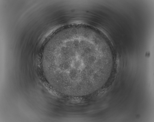 X0000111140823200907211136