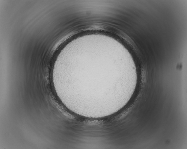 X0000111140826200907211136