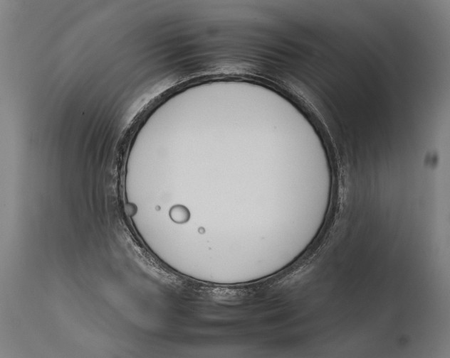 X0000111140827200907211137